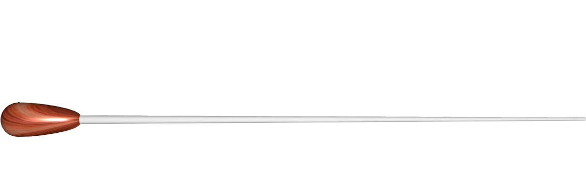 Maestro VR